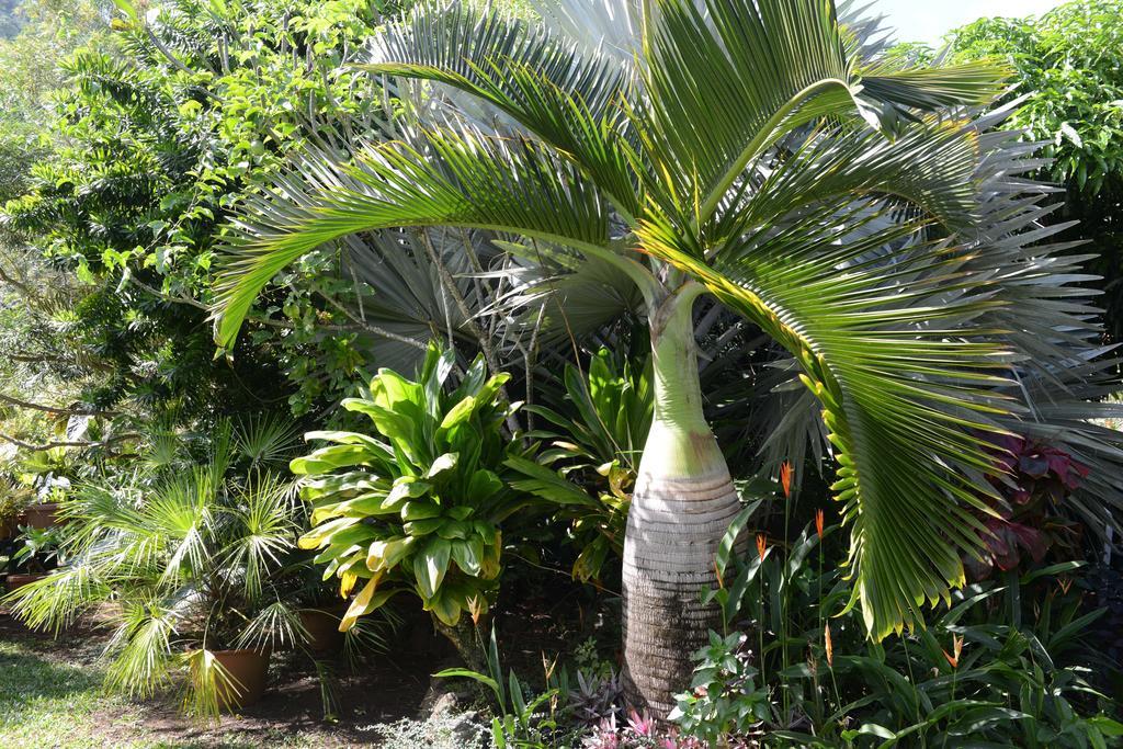 Pension De Famille Hiti Moana Villa Papara ภายนอก รูปภาพ