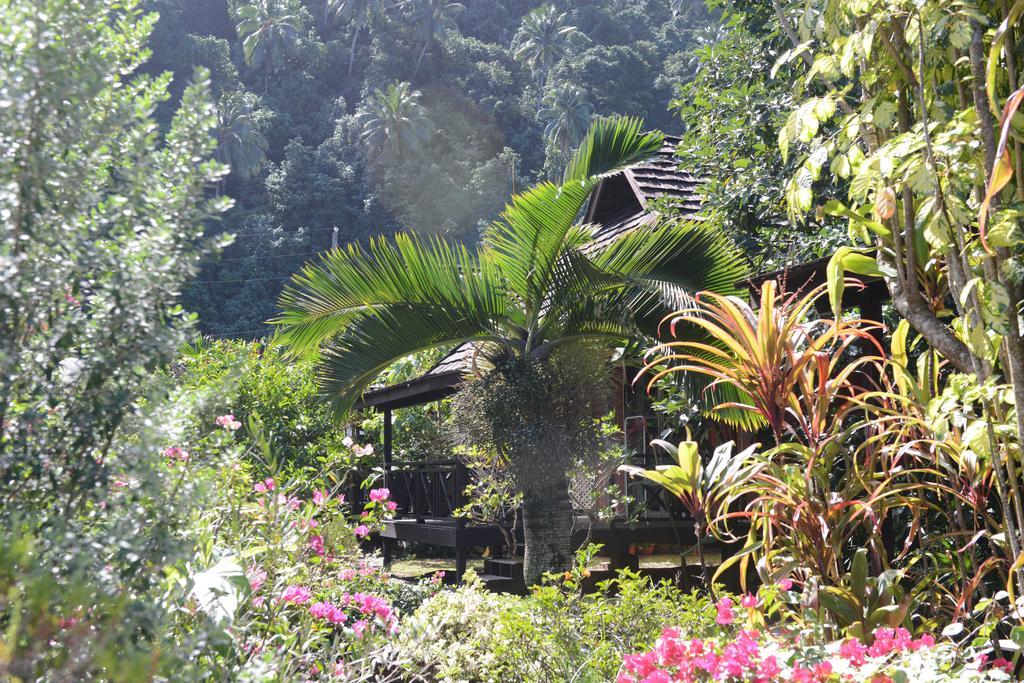 Pension De Famille Hiti Moana Villa Papara ห้อง รูปภาพ