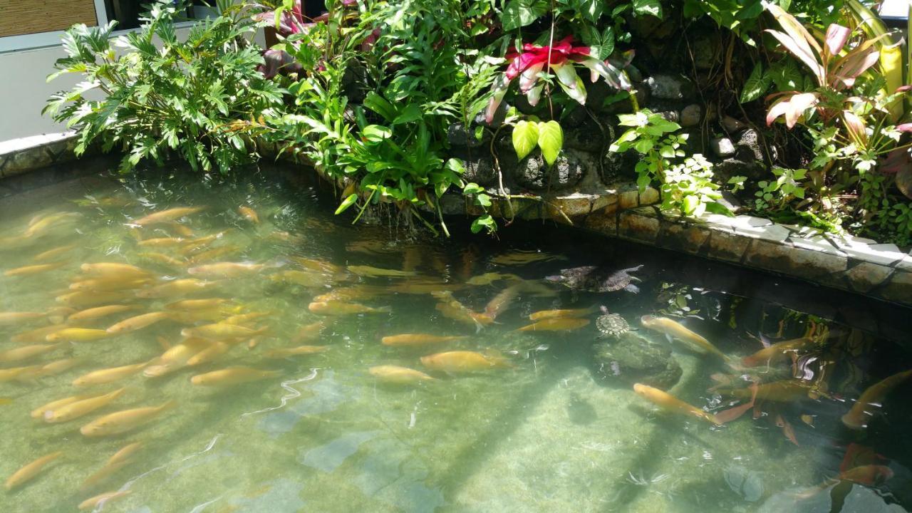 Pension De Famille Hiti Moana Villa Papara ภายนอก รูปภาพ